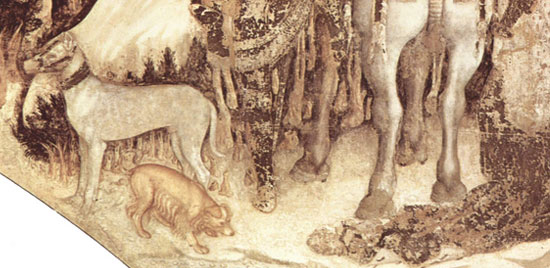 Alcuni animali nell'affresco del san Giorgio Alcuni animali nell'affresco del san Giorgio