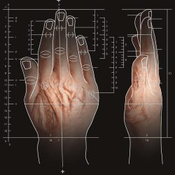 U.mano, la mostra. A Bologna, Fondazione Golinelli, dal 20 novembre 2019 al 9 aprile 2020