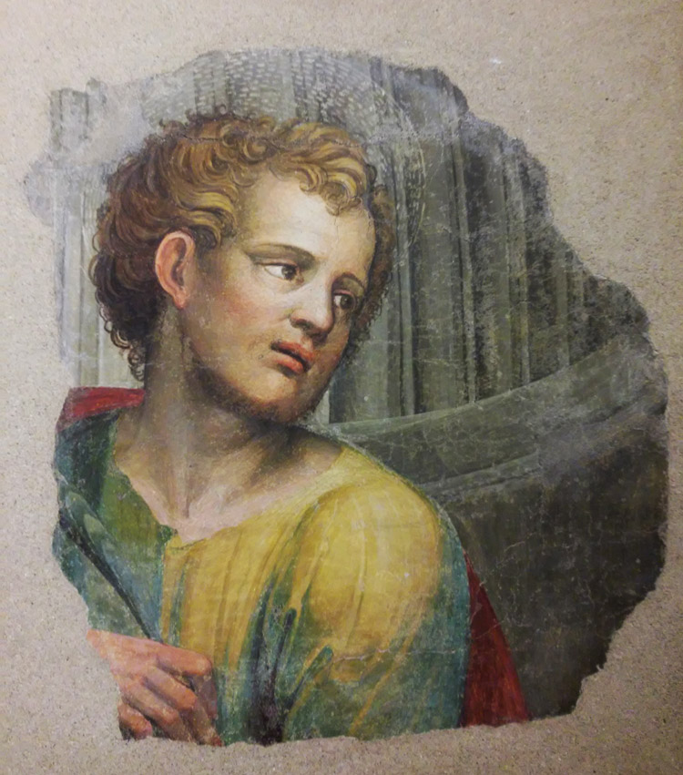 Bartolomeo Neroni detto il Riccio, frammenti degli affreschi per la Cattedrale di Siena, dettaglio