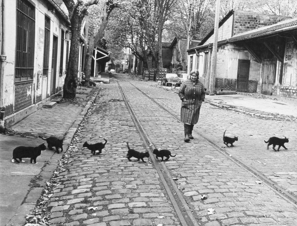 Robert Doisneau, il fotografo dell'imperfezione della quotidianità in