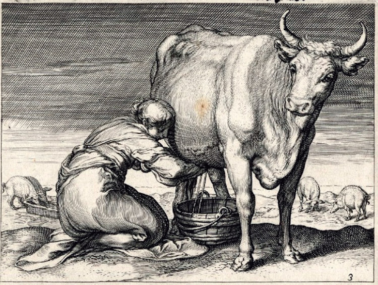Anonimo incisore, Mungitrice e giovenca Anonimo incisore, Mungitrice e giovenca