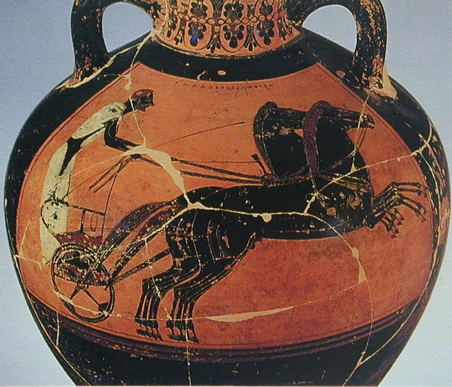 Pittore greco, Anfora panatenaica con auriga Pittore greco, Anfora panatenaica con auriga
