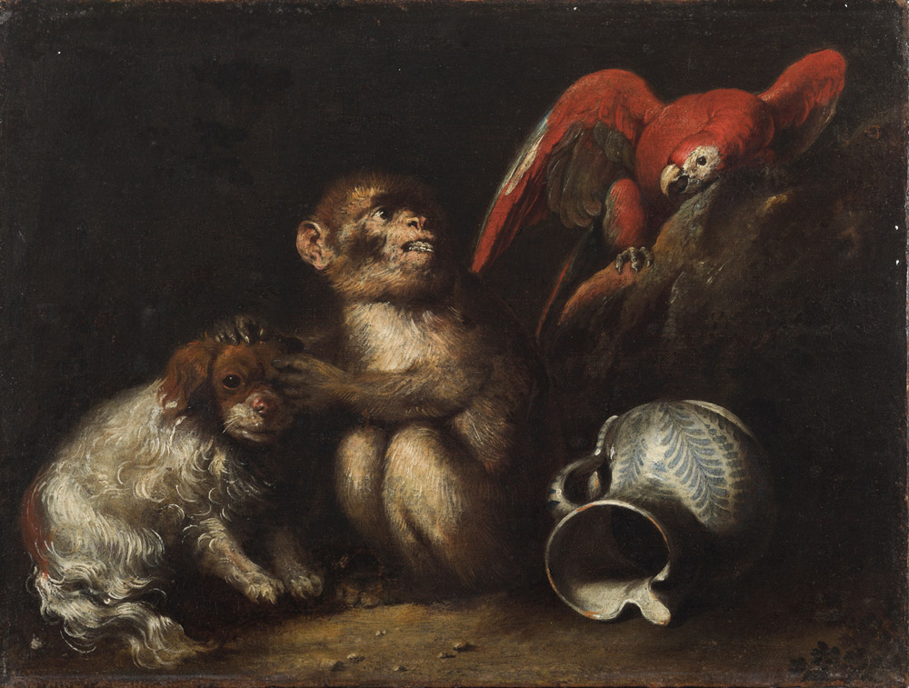 Anton Maria Vassallo, Allegoria con cagnolino, scimmia, pappagallo e brocca
Anton Maria Vassallo, Allegoria con cagnolino, scimmia, pappagallo e brocca