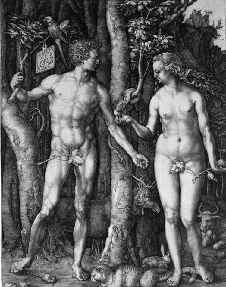 Albrecht Dürer, Adamo ed Eva 