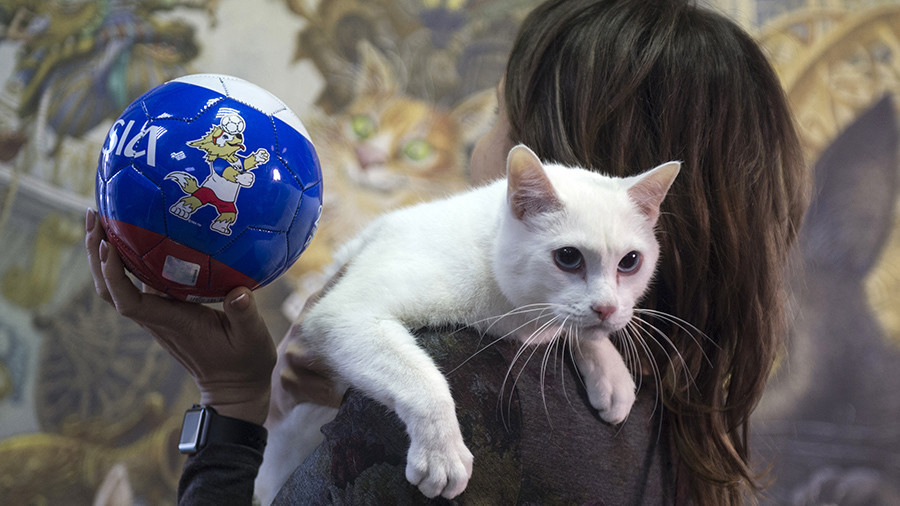 All'Hermitage i gatti sono anche dipinti sui muri