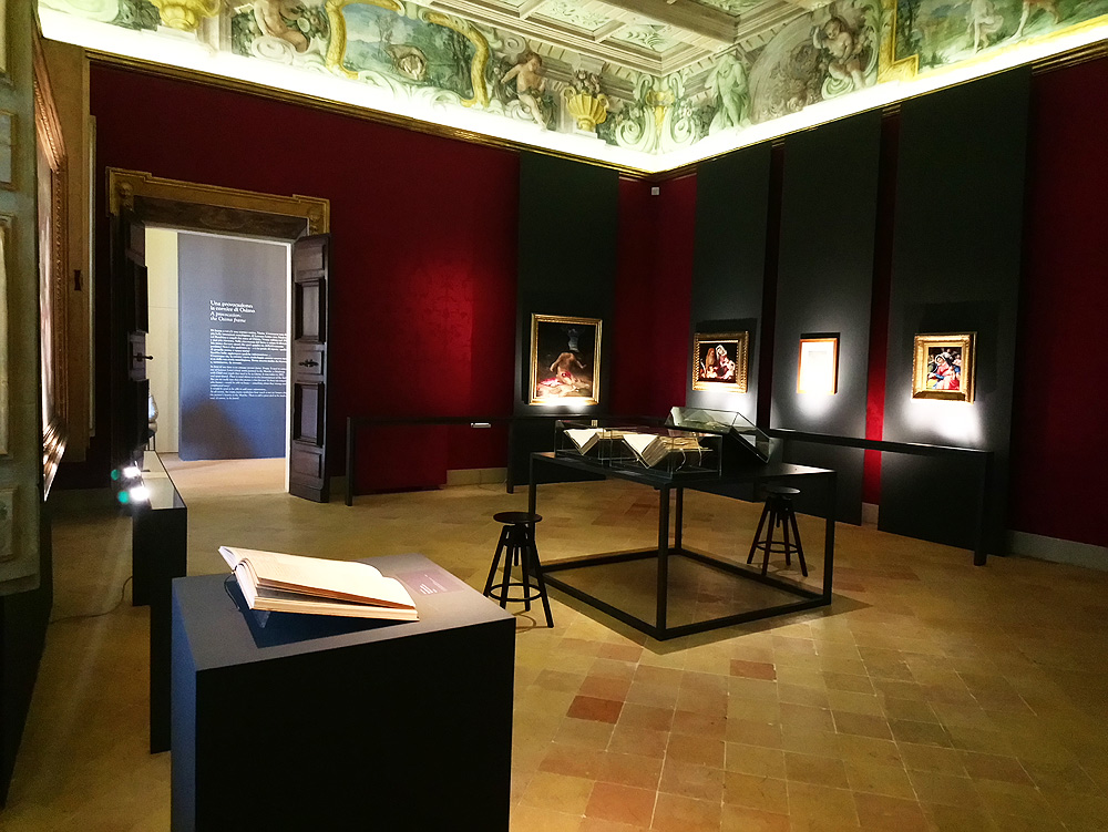 Una sala della mostra: da notare il rispetto totale e l'ingombro minimo degli ambienti storici di Palazzo Buonaccorsi
