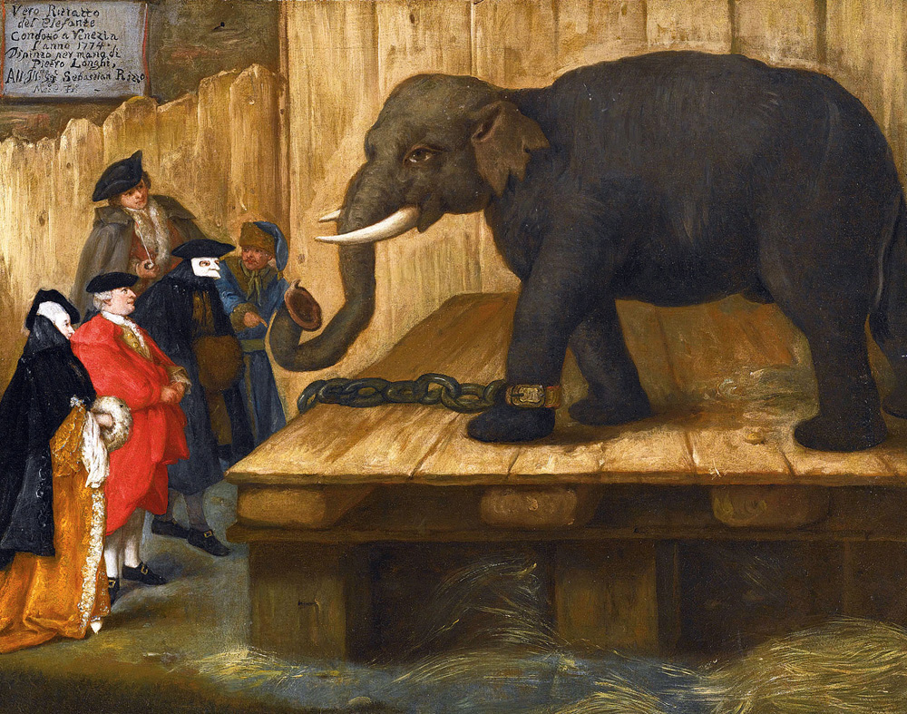 Pietro Longhi, L'elefante (1774) Pietro Longhi, L'elefante (1774)