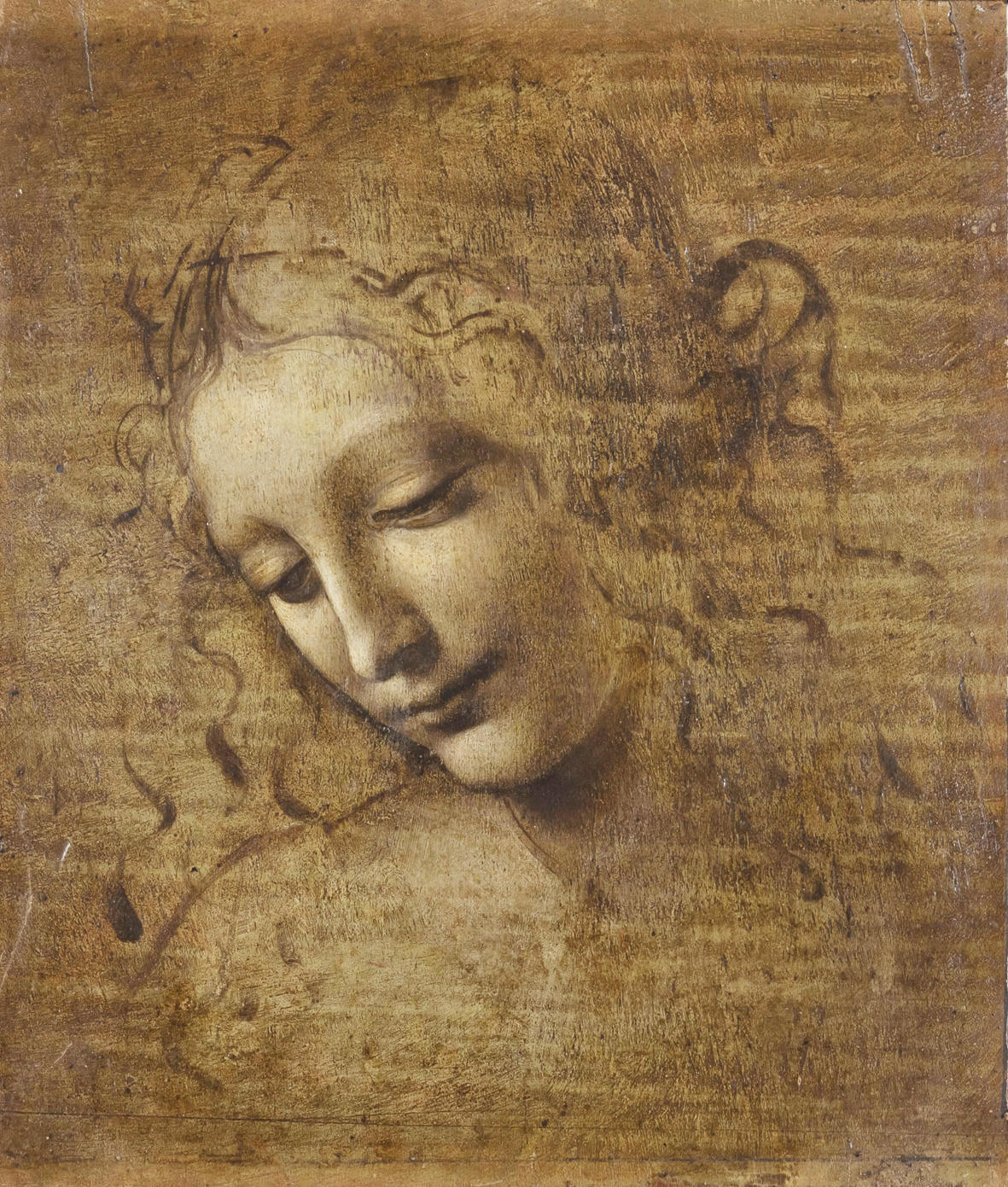 Leonardo da Vinci, Testa di donna detta La Scapiliata (1492 circa - 1501; biacca con pigmenti di ferro e cinabro, su preparazione di biacca contenente pigmenti a base di rame, giallo di piombo e stagno su tavola di noce, 24,7 x 21 cm; Parma, Complesso Monumentale della Pilotta, Galleria Nazionale) 