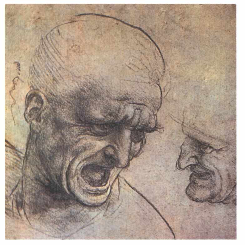Leonardo da Vinci, Studî per la testa di Niccolò Piccinino, studio per la Battaglia di Anghiari (1503 circa; gessetto rosso e nero su carta rosa, 191 x 188 mm; Budapest, Szépművészeti Múzeum)
