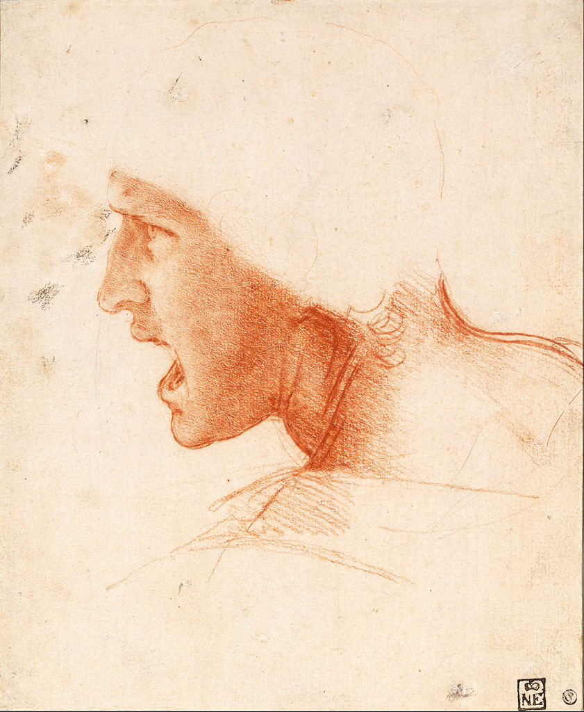 Leonardo da Vinci, Testa di cavaliere, studio per la Battaglia di Anghiari (1503 circa; gessetto rosso e nero su carta rosa, 227 x 186 mm; Budapest, Szépművészeti Múzeum)
