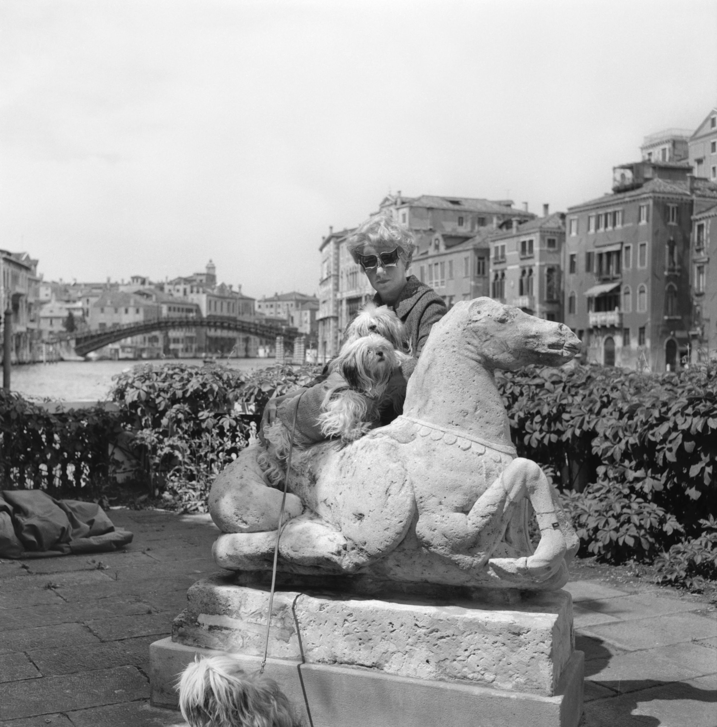 Peggy Guggenheim con i suoi terrier Lhasa Apsos sulla terrazza di Palazzo Venier dei Leoni, Venezia, fine anni Sessanta. Fondazione Solomon R. Guggenheim. Photo Archivio Cameraphoto Epoche. Donazione, Cassa di Risparmio di Venezia, 2005.
