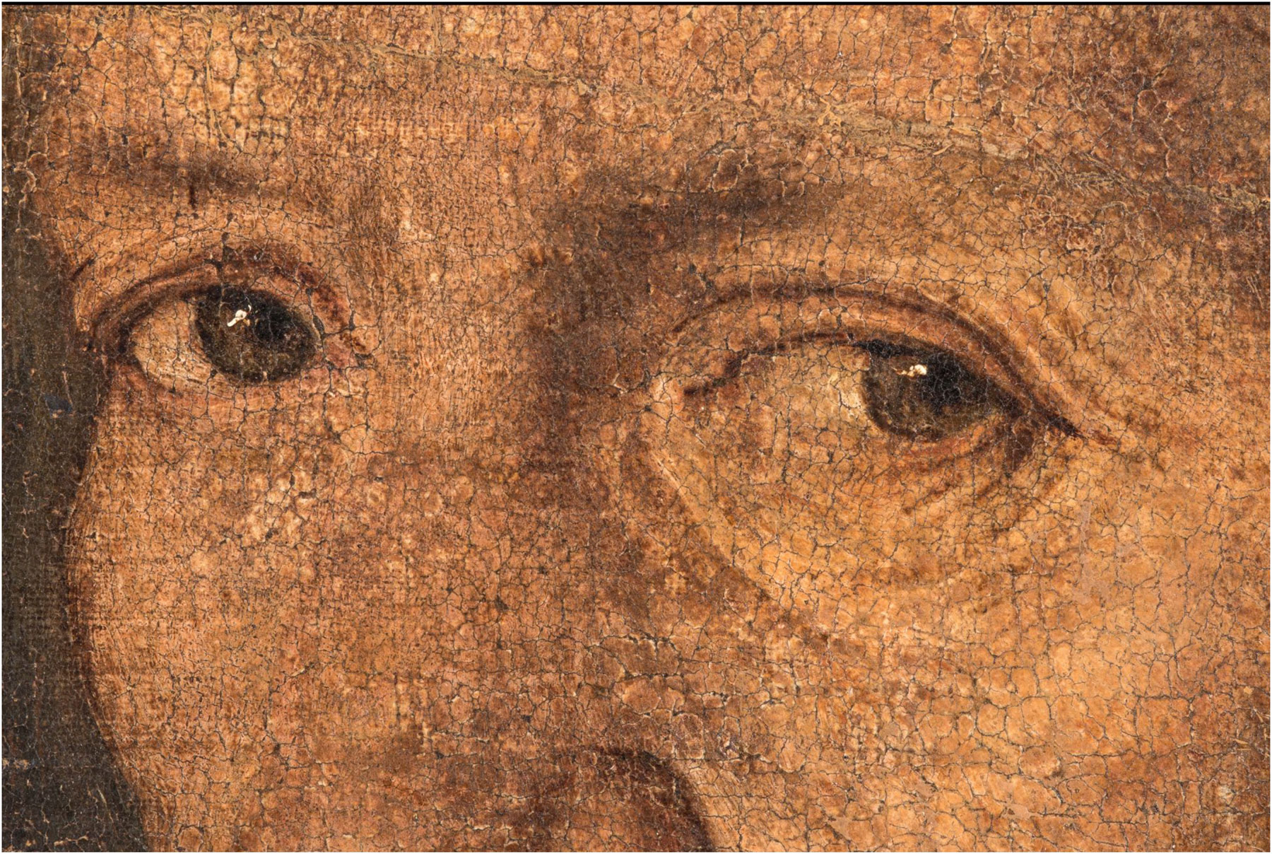 Giorgione, La Vecchia, macrofotografie degli occhi nel visibile