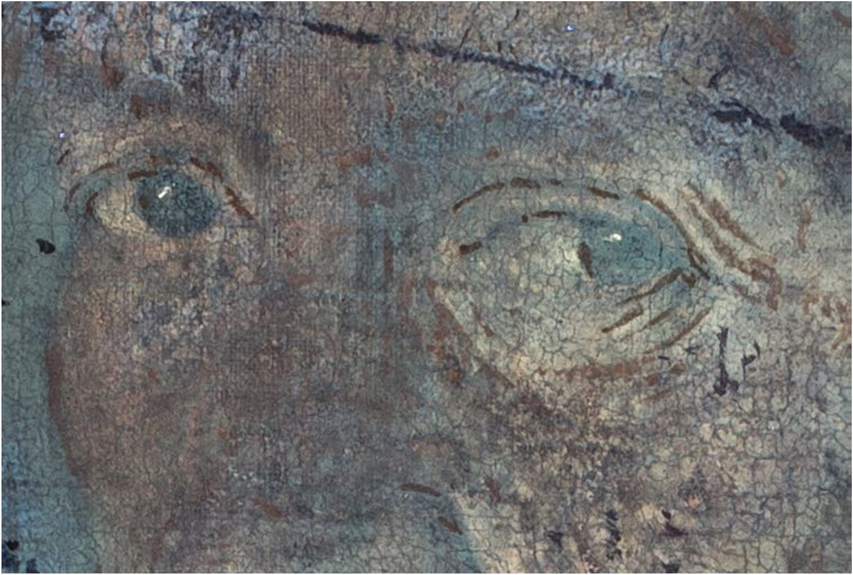Giorgione, La Vecchia, macrofotografie degli occhi in UV
