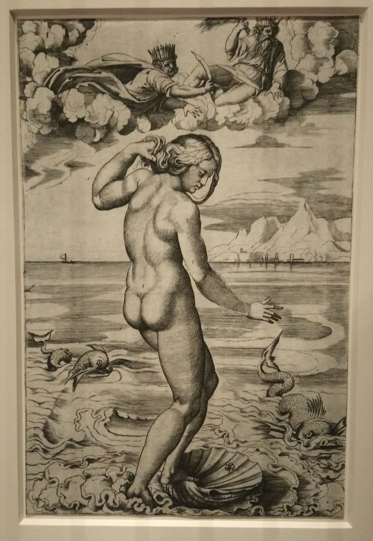 Marco Dente da Ravenna (da Raffaello), Venere Anadiomene (1516 circa; incisione a bulino, 262 x 172 mm; Vienna, Albertina)
