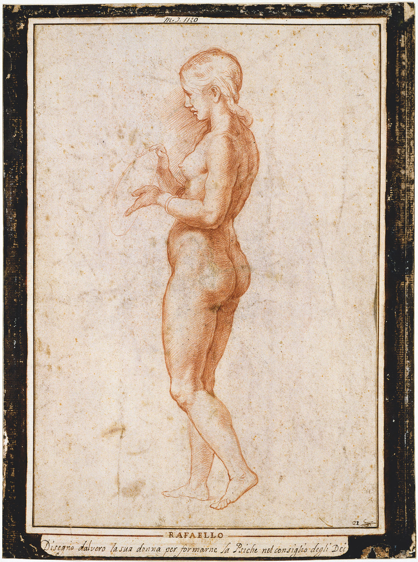 Bottega di Raffaello, Giovane figura femminile di profilo, verso (1517 circa?; sanguigna, 362 x 256 mm; Parigi, Musée du Louvre, Cabinet des dessins)
