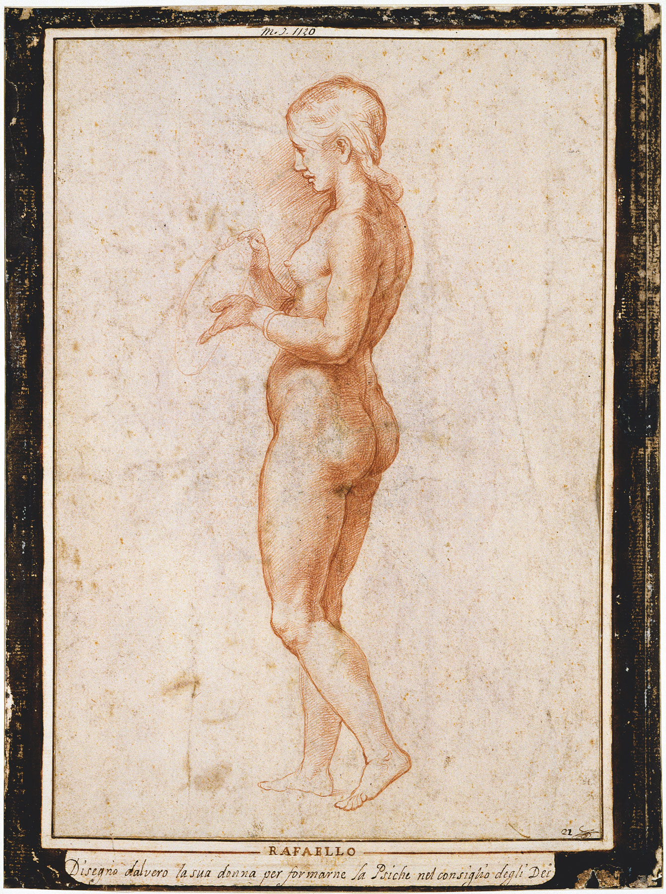 Bottega di Raffaello, Giovane figura femminile di profilo, verso (1517 circa?; sanguigna, 362 x 256 mm; Parigi, Musée du Louvre, Cabinet des dessins) 