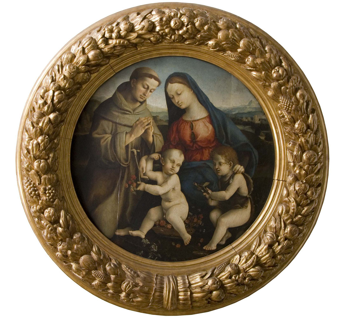 Girolamo Genga, Madonna col Bambino, san Giovannino e sant'Antonio da Padova (1510 circa; olio su tavola, diametro 103 cm; Siena, Pinacoteca Nazionale) 