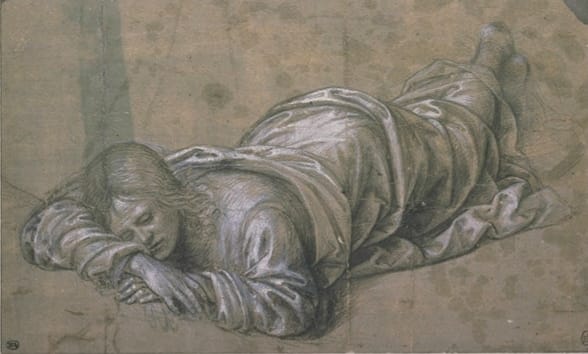 Timoteo Viti, Studio per san Giacomo dormiente (1490-1495; carboncino, penna e inchiostro grigio, biacca su carta preparata grigio-verde, 145 x 240 mm; Parigi, Louvre, Département des Arts graphiques) 