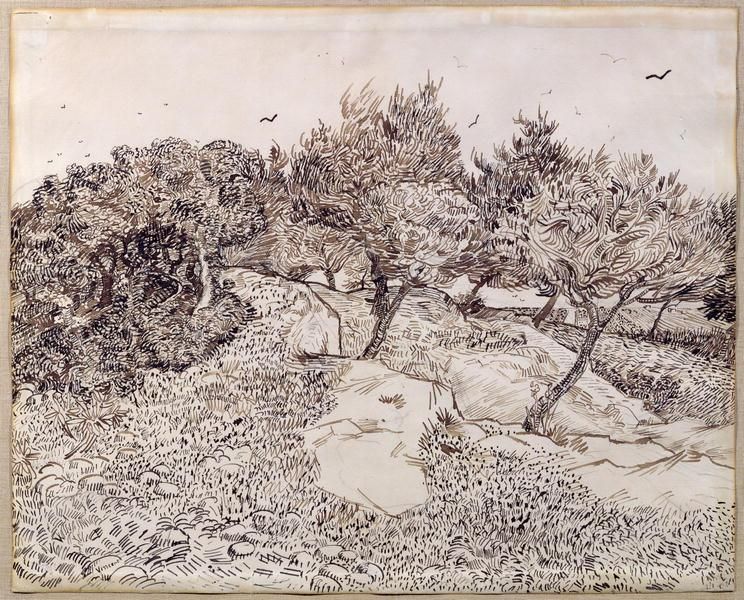 Vincent van Gogh, Oliviers à Montmajour (1888; inchiostro su carta, 480 x 600 mm; Tournai, Musée des Beaux-Arts) 