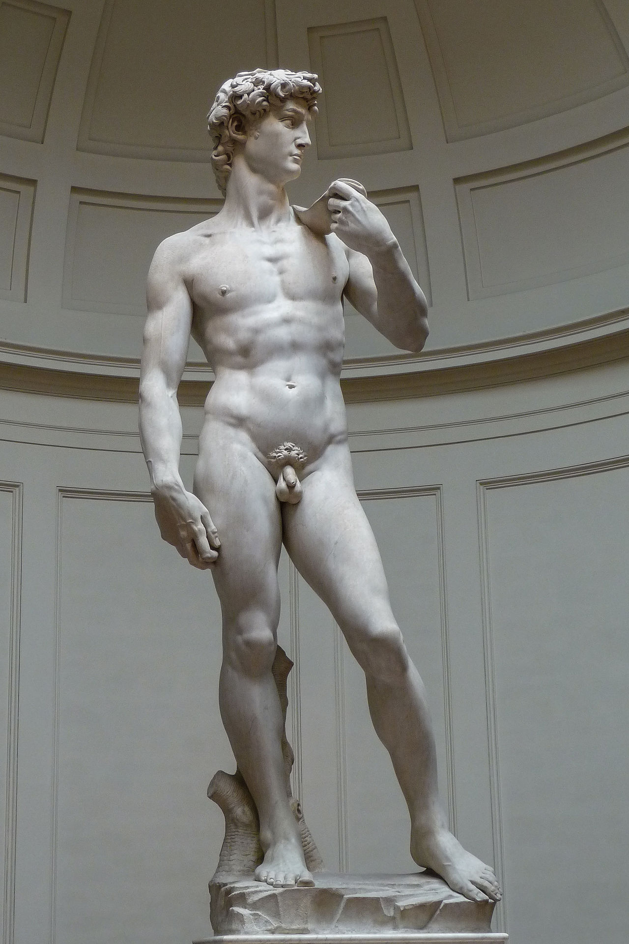 Michelangelo Buonarroti, David (1501-1504; marmo, 516 x 199 cm; Firenze, Galleria dell'Accademia) 