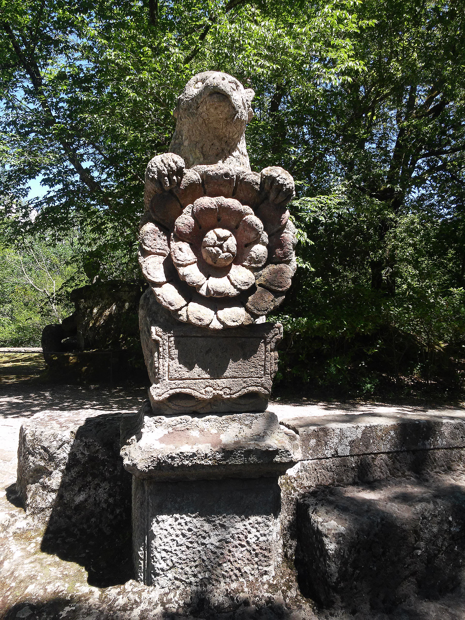 Uno degli orsi
