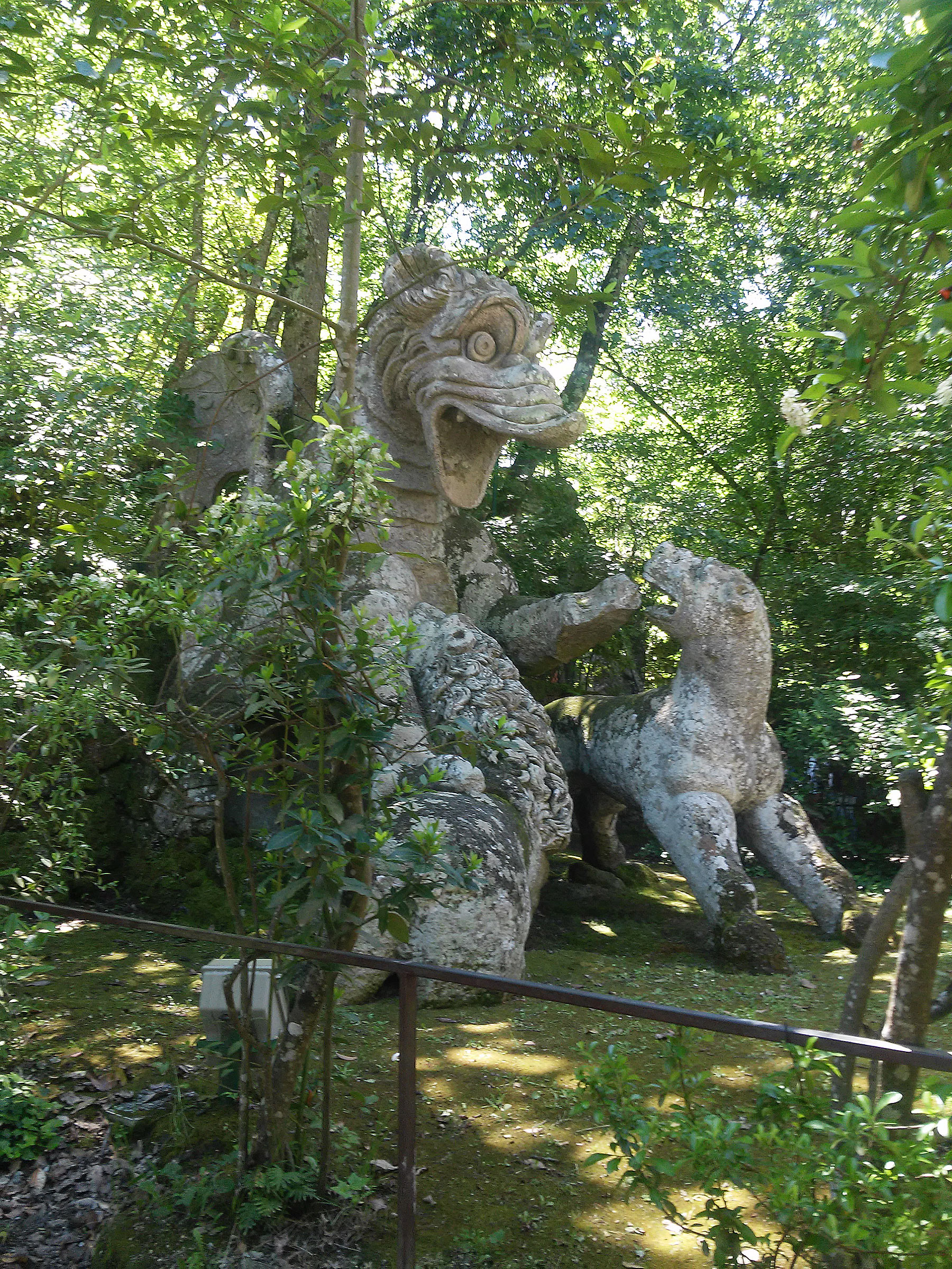 Il drago
