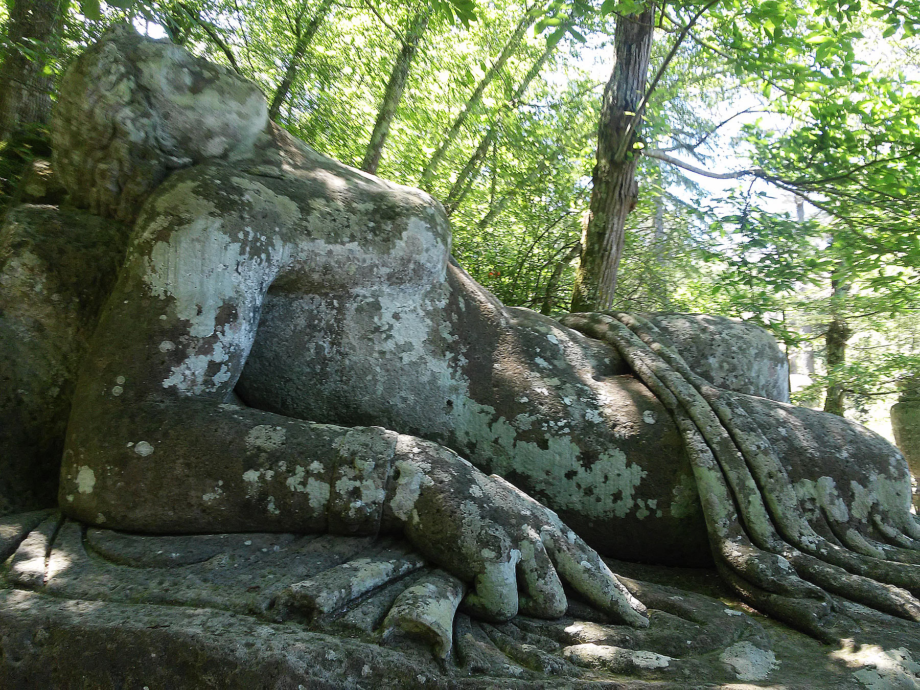 Ninfa dormiente
