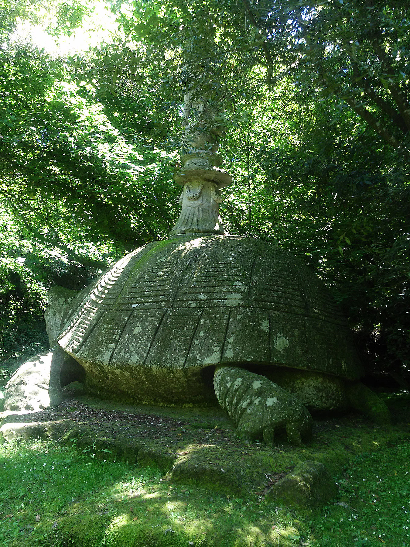 La Tartaruga
