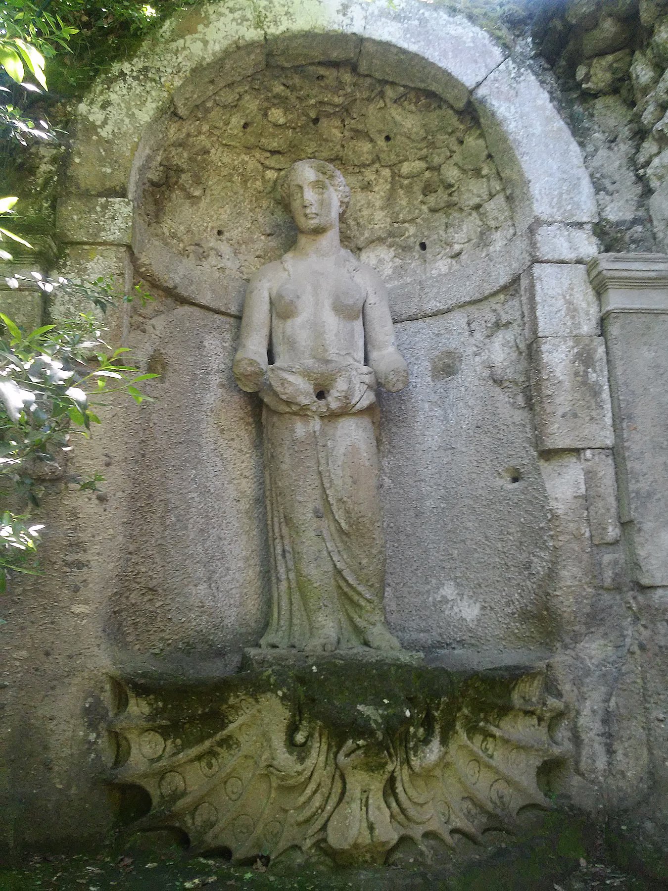 Venere
