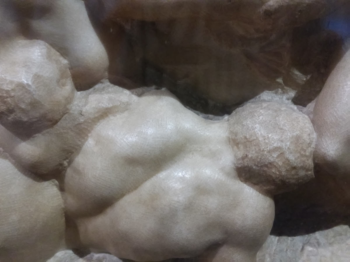Michelangelo, Battaglia dei centauri, dettaglio 