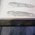 I vetri delle teche tenuti fermi con nastro adesivo I vetri delle teche tenuti fermi con nastro adesivo