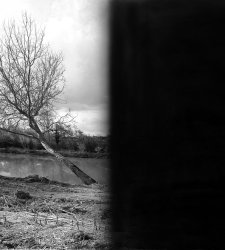 Pisa: Confluenze di Andrea Santarlasci alla chiesa di Santa Maria della Spina  Pisa: Confluenze di Andrea Santarlasci alla chiesa di Santa Maria della Spina