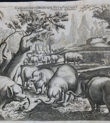 Le meravigliose avventure dei viaggiatori del passato, tra '400 e '800: la mostra alla Galleria Estense Le meravigliose avventure dei viaggiatori del passato, tra '400 e '800: la mostra alla Galleria Estense