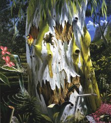 Le creature e la natura di Fulvio Di Piazza in mostra a Cannobio  Le creature e la natura di Fulvio Di Piazza in mostra a Cannobio