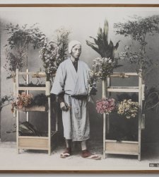 A Milano il Giappone è in mostra con “Hana to Yama”, personale di Linda Fregni Nagler A Milano il Giappone è in mostra con “Hana to Yama”, personale di Linda Fregni Nagler