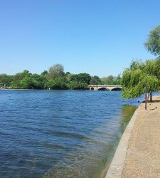 In Serpentine Lake in Hyde Park, Christo's new floating work In Serpentine Lake in Hyde Park, Christo's new floating work