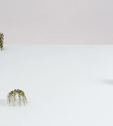 Christiane Löhr, l'artista che crea opere dal contatto diretto con la natura Christiane Löhr, l'artista che crea opere dal contatto diretto con la natura