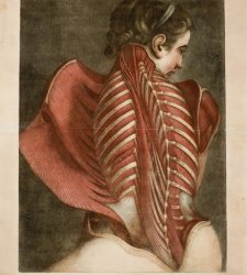 La rivelazione del sublime nel corpo umano. Una mostra al Palazzo delle Esposizioni di Roma La rivelazione del sublime nel corpo umano. Una mostra al Palazzo delle Esposizioni di Roma