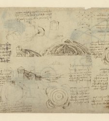 Leonardo da Vinci fu anche ingegnere militare: a Bologna una mostra approfondisce questo aspetto Leonardo da Vinci fu anche ingegnere militare: a Bologna una mostra approfondisce questo aspetto