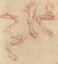 Il genio visionario di Leonardo tra macchine volanti e carri semoventi. Una mostra a Sansepolcro Il genio visionario di Leonardo tra macchine volanti e carri semoventi. Una mostra a Sansepolcro