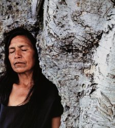 A Lissone una mostra di videoarte esplora i problemi di oggi con opere della Fondazione Han Nefkens A Lissone una mostra di videoarte esplora i problemi di oggi con opere della Fondazione Han Nefkens