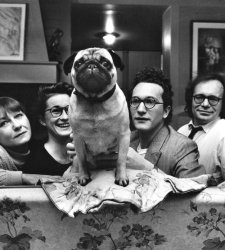 MUDEC virtually opens Elliott Erwitt.Family exhibition MUDEC virtually opens Elliott Erwitt.Family exhibition