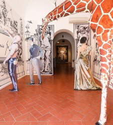 The universe of Ignacio Goitia at the Instituto Cervantes in Rome The universe of Ignacio Goitia at the Instituto Cervantes in Rome