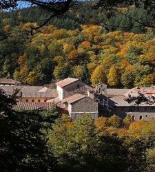A trek through art, nature and foliage in the Casentino Forests towards Camaldoli