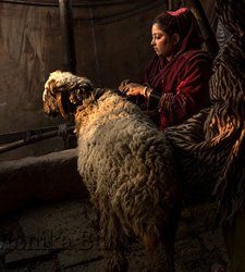 A Palau la personale della fotografa Monika Bulaj dedicata alle minoranze etniche a rischio A Palau la personale della fotografa Monika Bulaj dedicata alle minoranze etniche a rischio