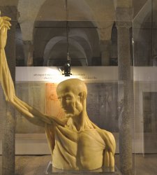 Milano, la Biblioteca Ambrosiana mette a confronto Leonardo da Vinci e Guido da Vigevano e le loro anatomie in figure Milano, la Biblioteca Ambrosiana mette a confronto Leonardo da Vinci e Guido da Vigevano e le loro anatomie in figure