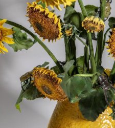 Evergreen: a San Marino in mostra vent'anni di carriera di Bertozzi & Casoni  Evergreen: a San Marino in mostra vent'anni di carriera di Bertozzi & Casoni