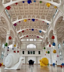 Trieste, le coloratissime sculture di Cracking Art invadono i luoghi più significativi della città Trieste, le coloratissime sculture di Cracking Art invadono i luoghi più significativi della città