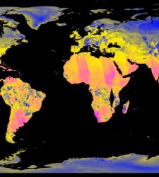 A Lisbona un percorso immersivo per riflettere sull'attuale emergenza climatica A Lisbona un percorso immersivo per riflettere sull'attuale emergenza climatica
