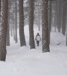 La neve rischia di scomparire per sempre. Al MUSE si indaga il rapporto uomo/natura La neve rischia di scomparire per sempre. Al MUSE si indaga il rapporto uomo/natura
